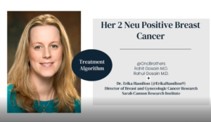 HER 2 Positive Treatment Algorithm with Dr. Erika Hamilton - oncology Brothers